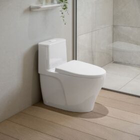 Ảnh thực tế bồn cầu INAX AC-989VN Aqua Ceramic