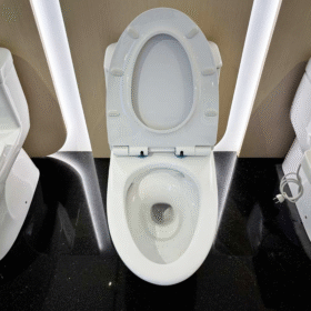 Ảnh chụp thực tế Bồn cầu INAX AC-919VRN (AC919VRN) 1 khối Aqua Ceramic