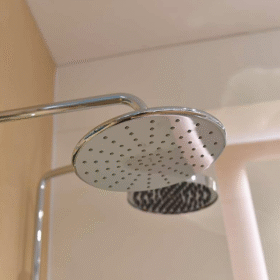 Ảnh chụp vòi sen tắm cây INAX BFV-915S nóng lạnh củ sen cách điệu