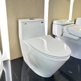 Ảnh chụp Bồn cầu INAX AC-919VRN (AC919VRN) 1 khối Aqua Ceramic