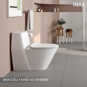 Ảnh thực tế Bồn Cầu INAX AC-919VRN (AC919VRN) 1 Khối Aqua Ceramic