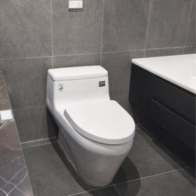 Ảnh thực tế Bồn cầu INAX AC-1135VN (AC1135VN) 1 khối xả gạt