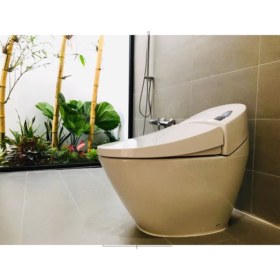 Ảnh thực tế Bồn cầu INAX AC-2700VN 1 khối Aqua Ceramic nắp êm (AC2700VN)-3