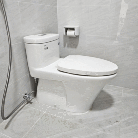 Ảnh thực tế Bồn cầu INAX AC-959VAN (AC959VAN) 1 khối Aqua Ceramic