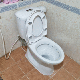 Ảnh thực tế Bồn cầu INAX C-306VPTN 2 khối nắp êm thoát ngang