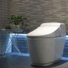 ảnh chụp bồn cầu INAX AC-1032VN (AC1032VN) 1 khối Aqua Ceramic