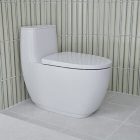 Ảnh thật Ảnh chụp Bồn cầu INAX AC-1052VN 1 khối nắp êm