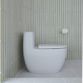 Ảhh chụp bệt INAX AC1052VN