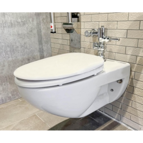 Ảnh chụp Bồn cầu INAX AC-22PVN (AC22PVN) treo tường Aqua Ceramic