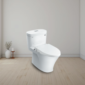 Ảnh thực tế Bồn cầu INAX AC-959A+CW-S15VN nắp rửa cơ