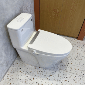 Ảnh thực tế Bồn cầu INAX AC-989+CW-S32VN nắp rửa cơ Aqua Ceramic