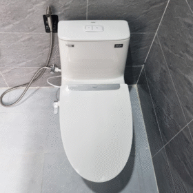 ảnh chụp bồn cầu INAX AC-902+CW-S32VN nắp rửa cơ Aqua Ceramic
