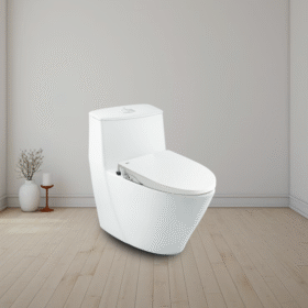 ảnh thực tế Bồn cầu INAX AC-919R+CW-S15VN nắp rửa cơ cao cấp