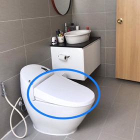 Ảnh thực tế Nắp êm bồn cầu INAX CF-1008VS