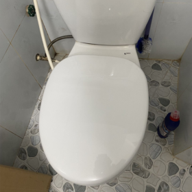 Ảnh thực tế Nắp êm bồn cầu INAX CF-37VSAK